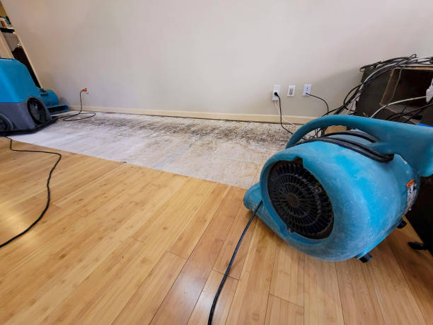 Professional Structural Drying technician working in Newcastle, WY